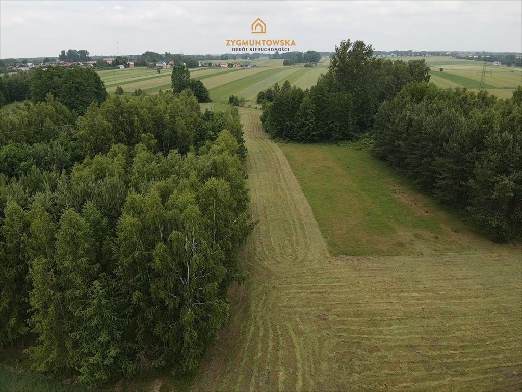 Działka leśna na sprzedaż Sławno, Prymusowa Wola  33 200m2 Foto 10