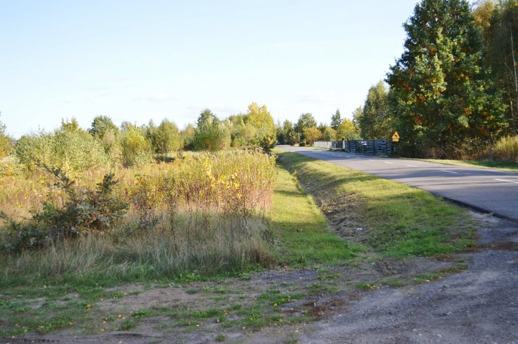 Działka budowlana na sprzedaż Sierzchów, Mazowiecka  10 500m2 Foto 10