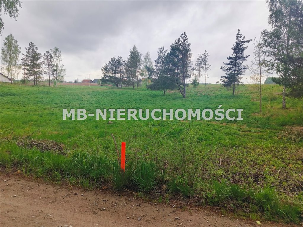 Działka budowlana 9002 m² z mediami, lasem i planem osiedla Nowe Włóki  9 002m2 Foto 1