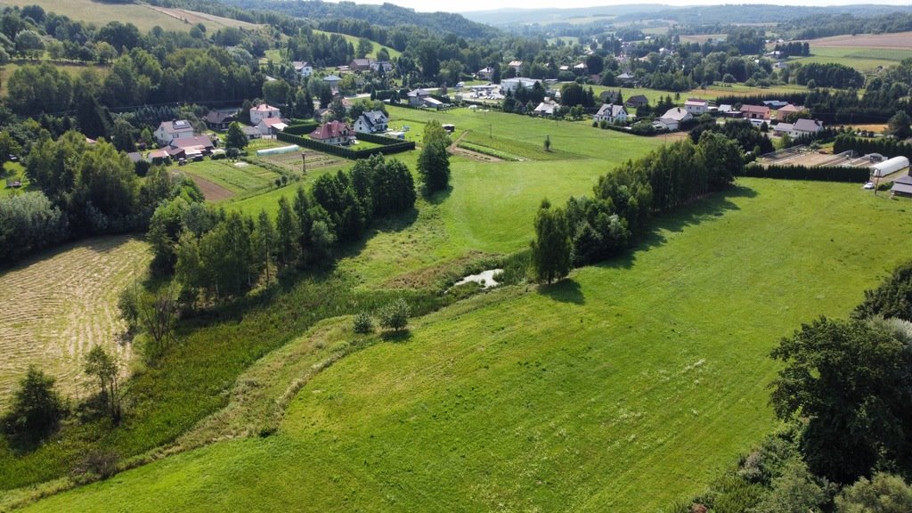 Działka budowlana na sprzedaż Borek Stary  3 100m2 Foto 3