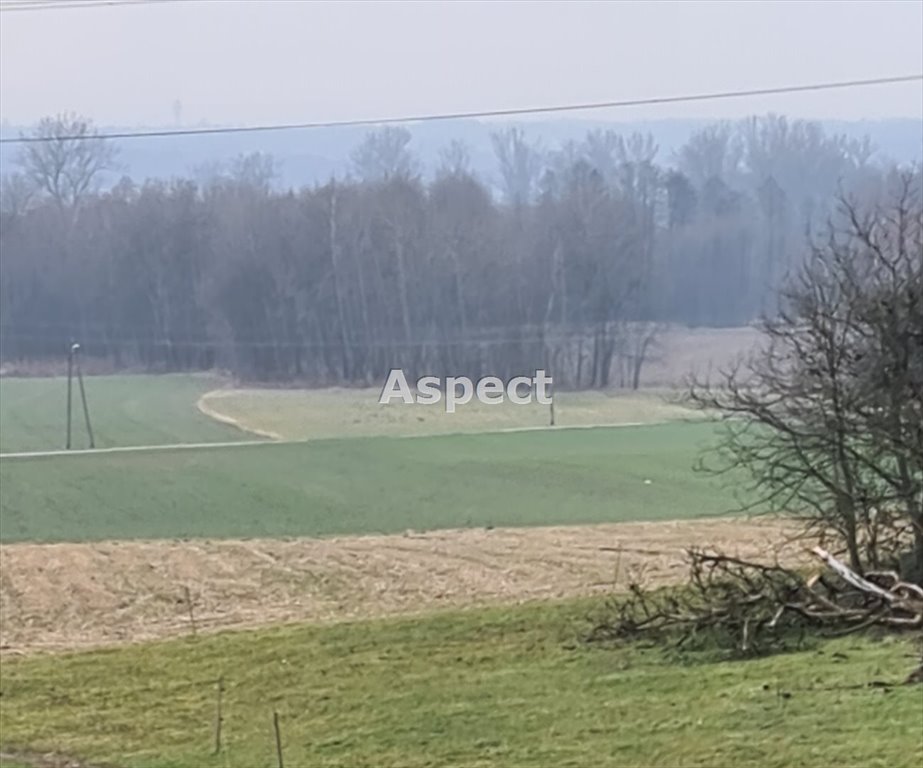 Działka budowlana na sprzedaż Łaziska  2 687m2 Foto 1