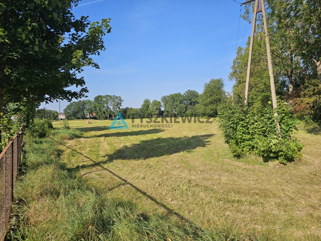 Działka budowlana na sprzedaż Dąbie  16 000m2 Foto 6