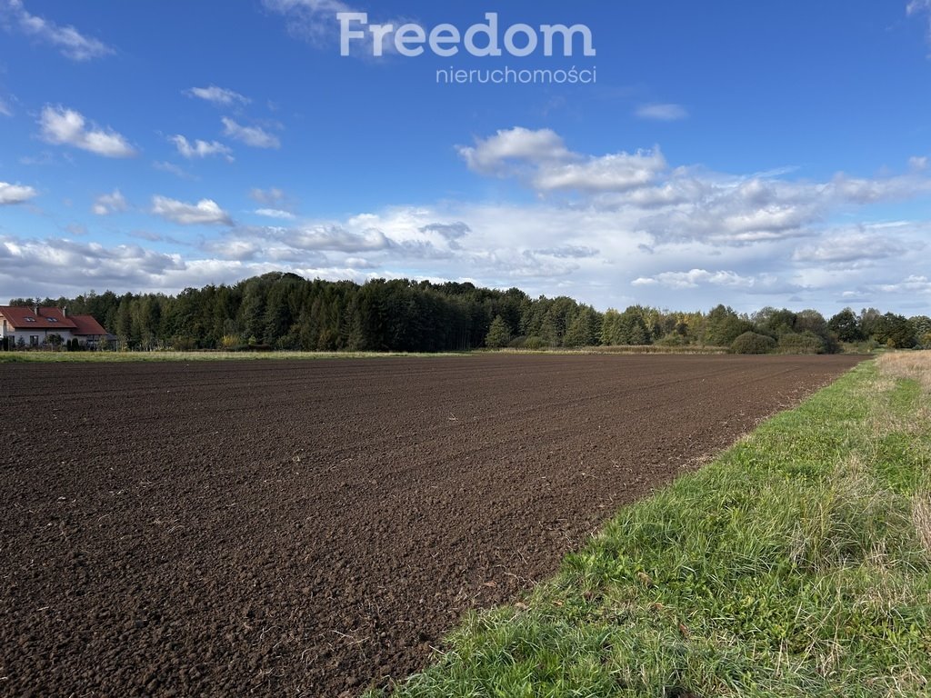 Działka rolna na sprzedaż Polanka Wielka, Spacerowa  5 488m2 Foto 5