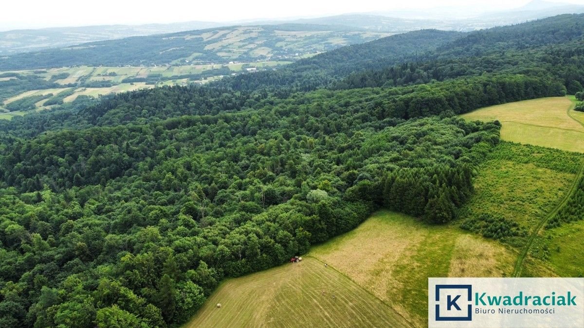 Działka leśna na sprzedaż Stary Żmigród  96 100m2 Foto 1