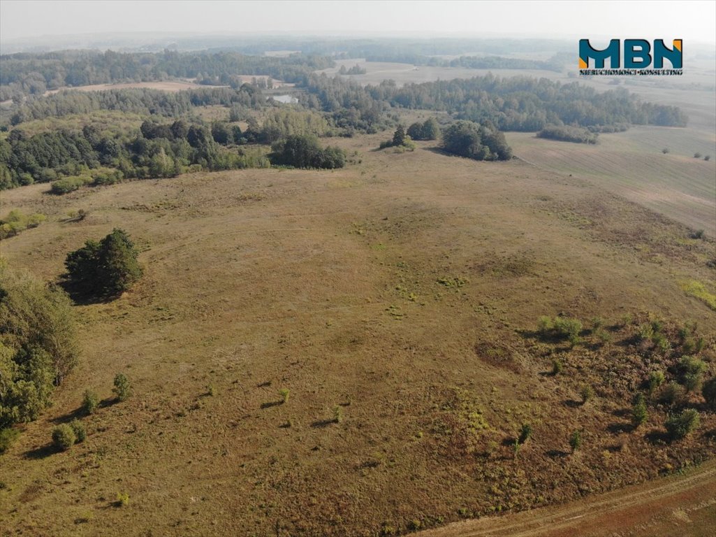 Działka rolna na sprzedaż Miłki, Wyszowate  202 557m2 Foto 12