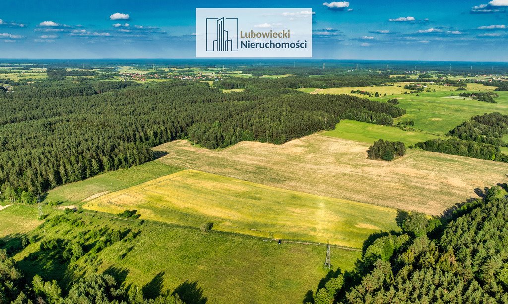 Działka budowlana na sprzedaż Dębówko  3 000m2 Foto 4