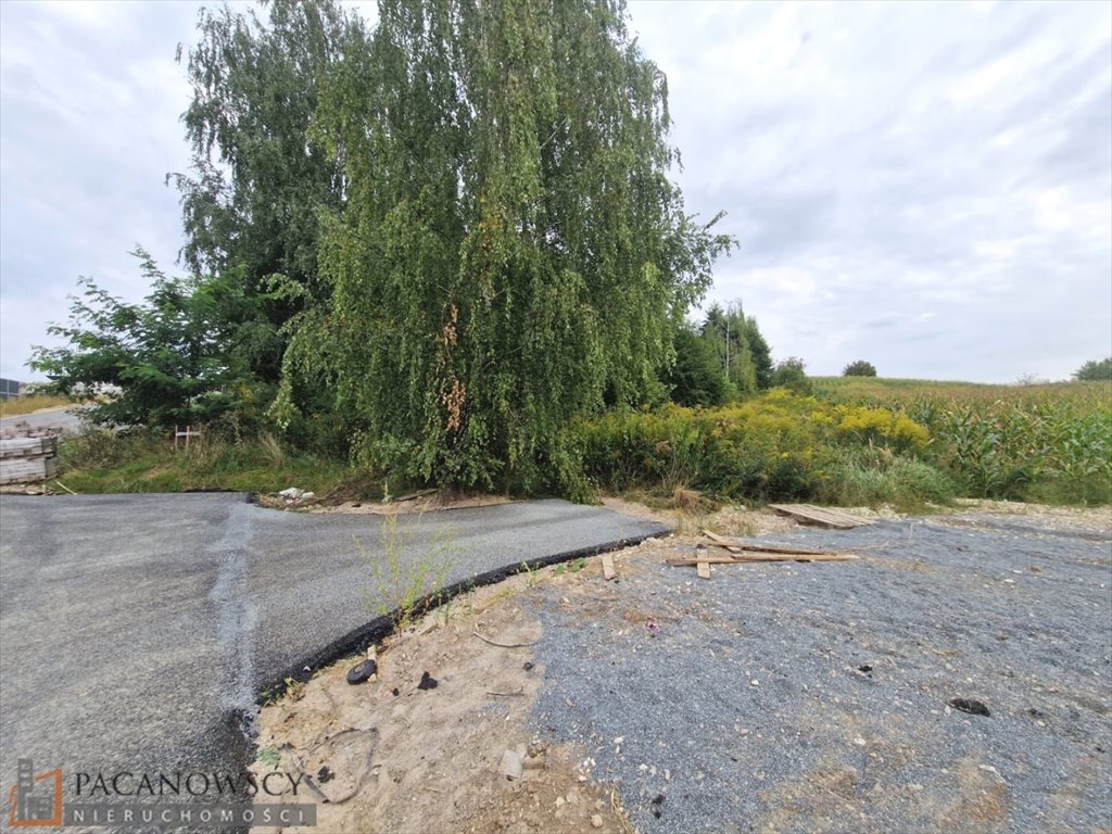 Działka inna na sprzedaż Dziekanowice  2 500m2 Foto 2