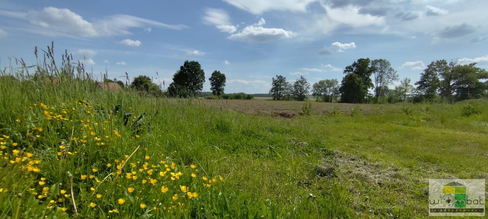 Działka inwestycyjna na sprzedaż Imbramowice  29 213m2 Foto 1