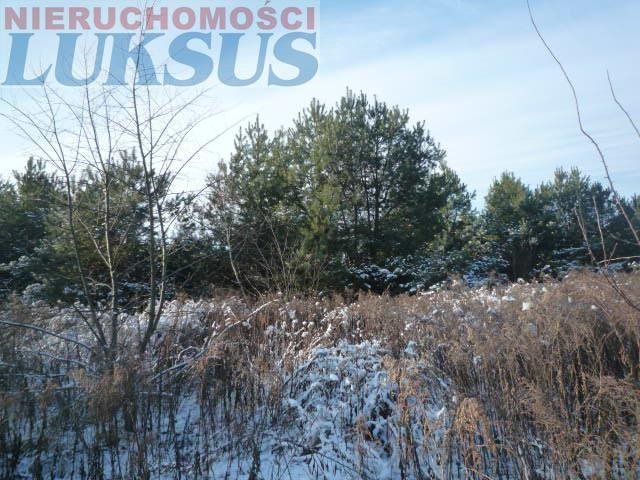 Działka budowlana na sprzedaż Łoś, Łoś 1 500m2 Foto 1 Działka budowlana na sprzedaż Łoś, Łoś 1 500m2 Foto 1