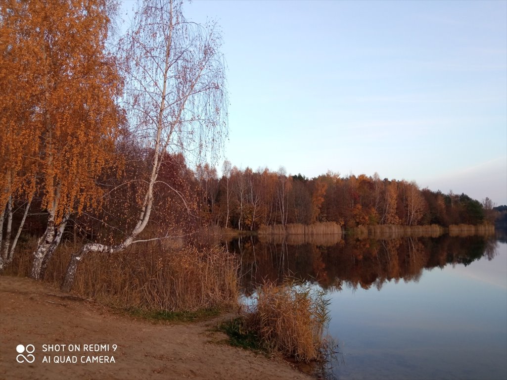 Działka budowlana na sprzedaż Łowicz, Łódzka  6 500m2 Foto 8