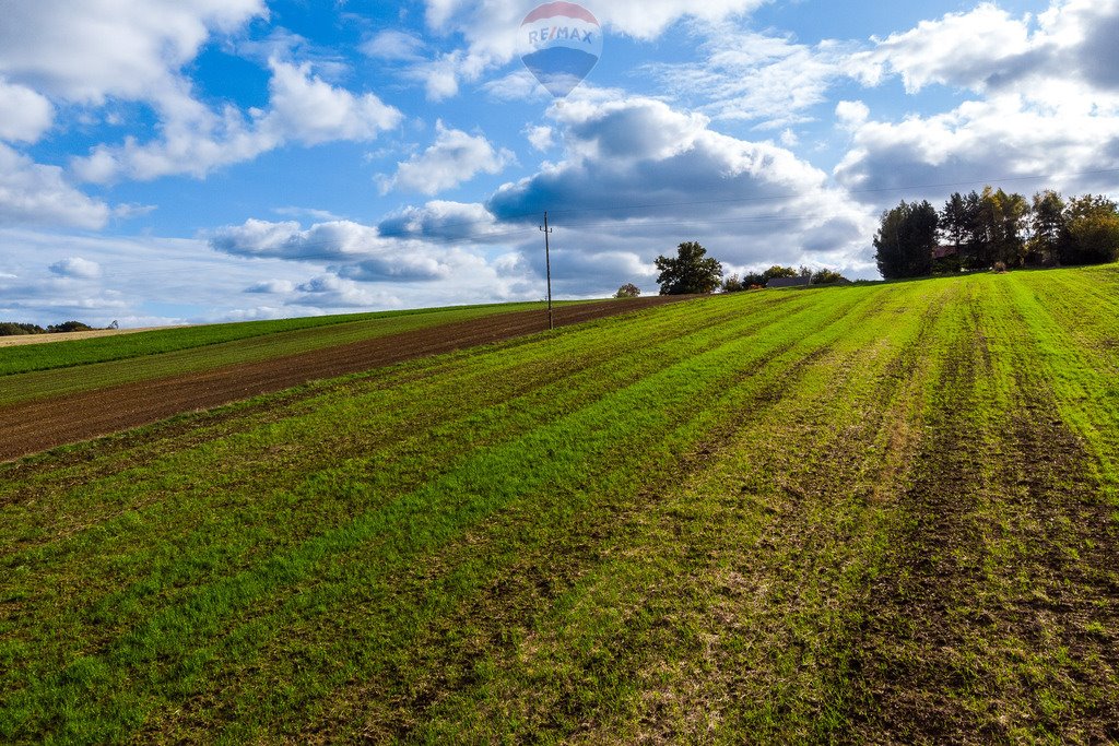 Działka budowlana na sprzedaż Krępa  2 600m2 Foto 9