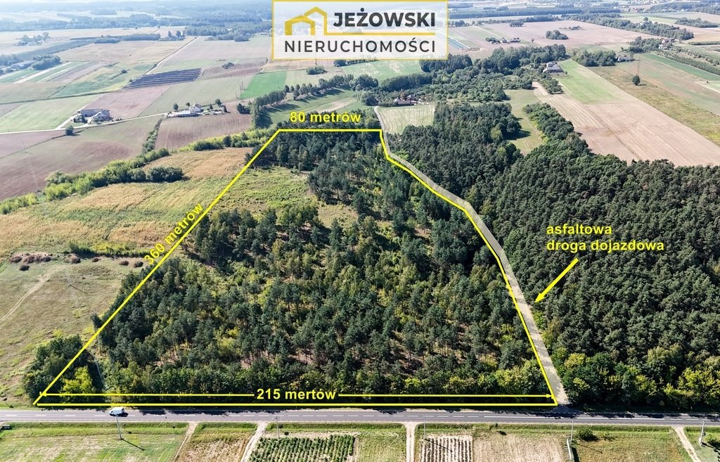 Działka budowlana na sprzedaż Łaziska  59 200m2 Foto 3