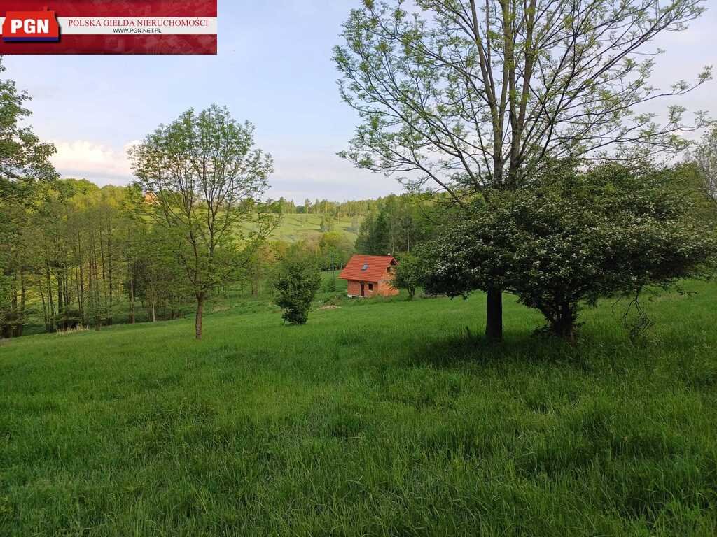 Dom w stanie surowym z dużą działką i potencjałem Idzików  70m2 Foto 1