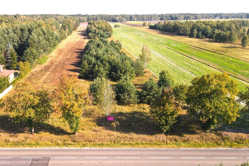 Działka rolna na sprzedaż Kolonia Paplin  13 300m2 Foto 1