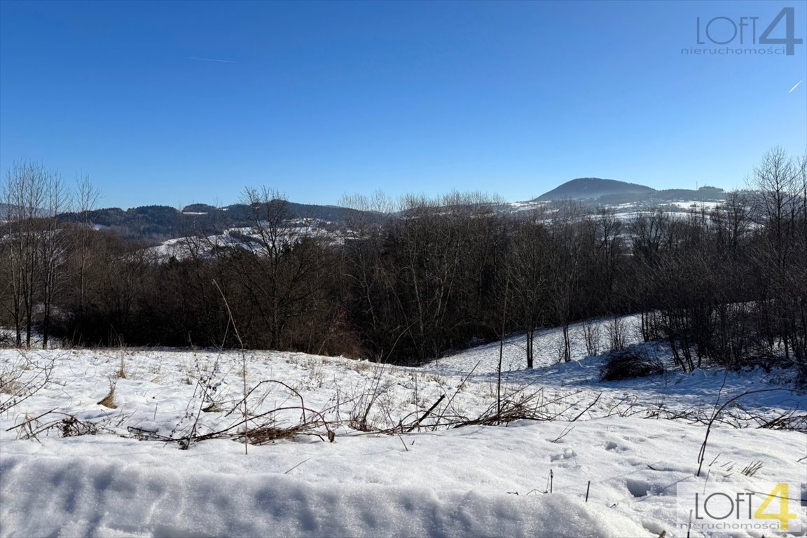 Działka budowlana na sprzedaż Grybów  1 041m2 Foto 5