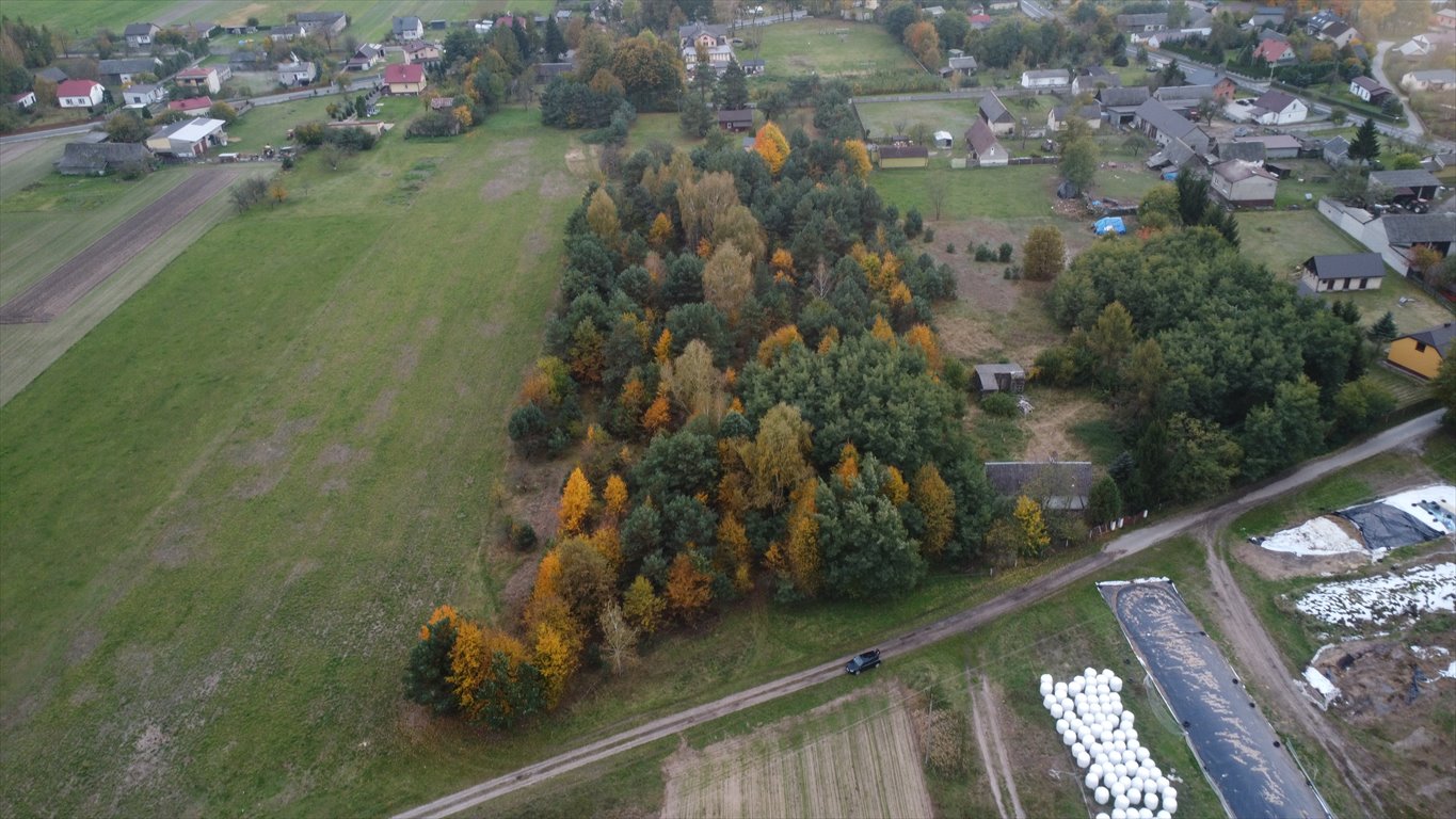 Działka budowlana na sprzedaż Cielętniki  13 500m2 Foto 8