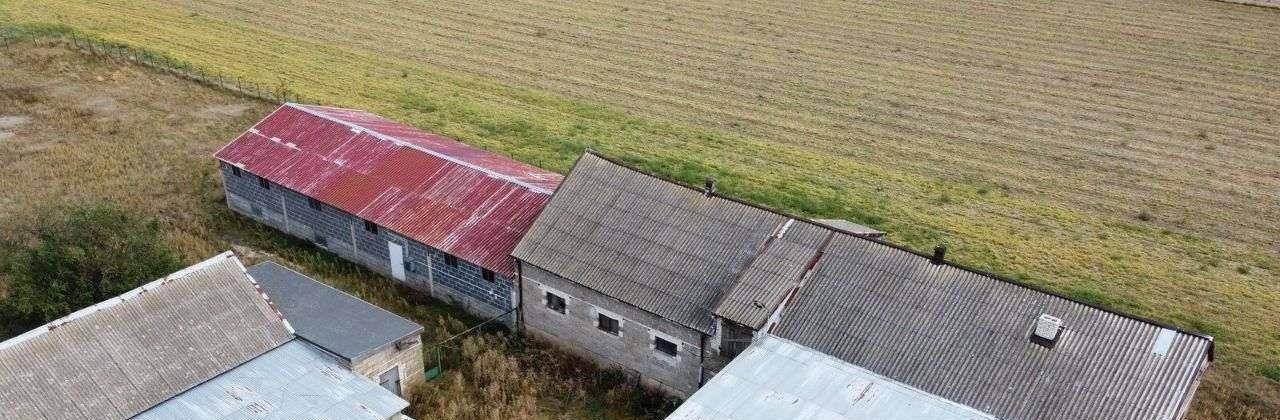 Działka budowlana na sprzedaż Staroźreby  15 900m2 Foto 6