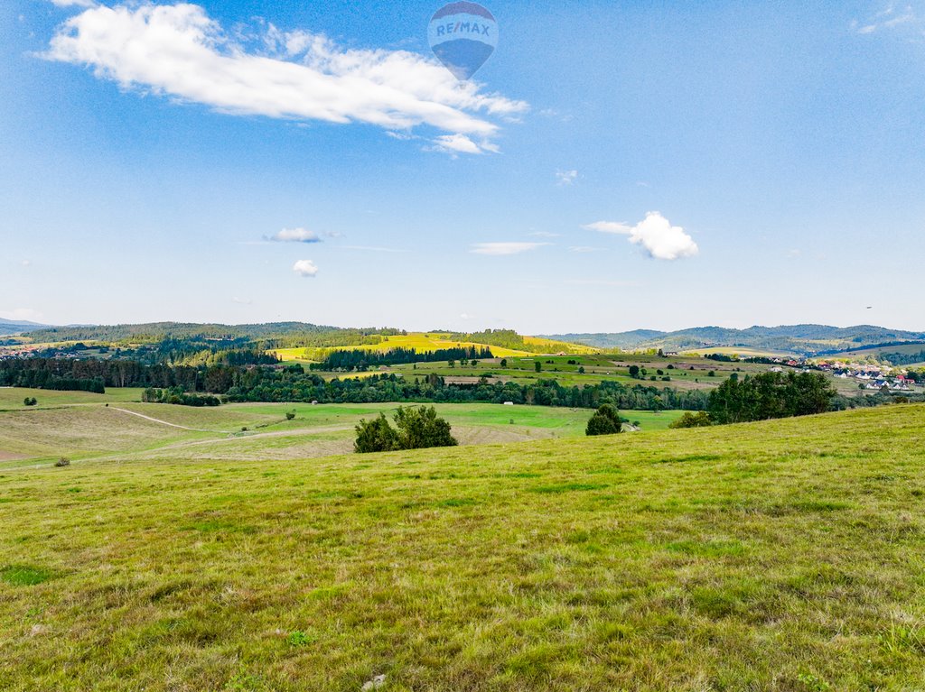 Działka rolna na sprzedaż Jabłonka  6 400m2 Foto 10