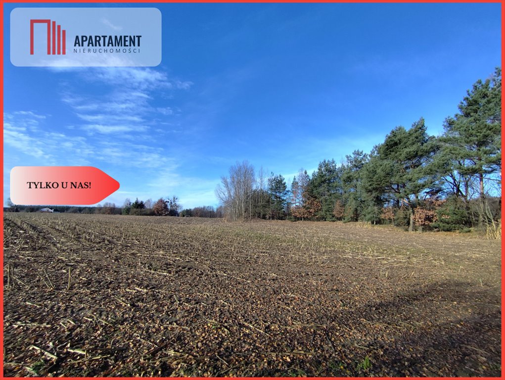 Działka gospodarstwo rolne na sprzedaż Dąbrowa  23 974m2 Foto 1