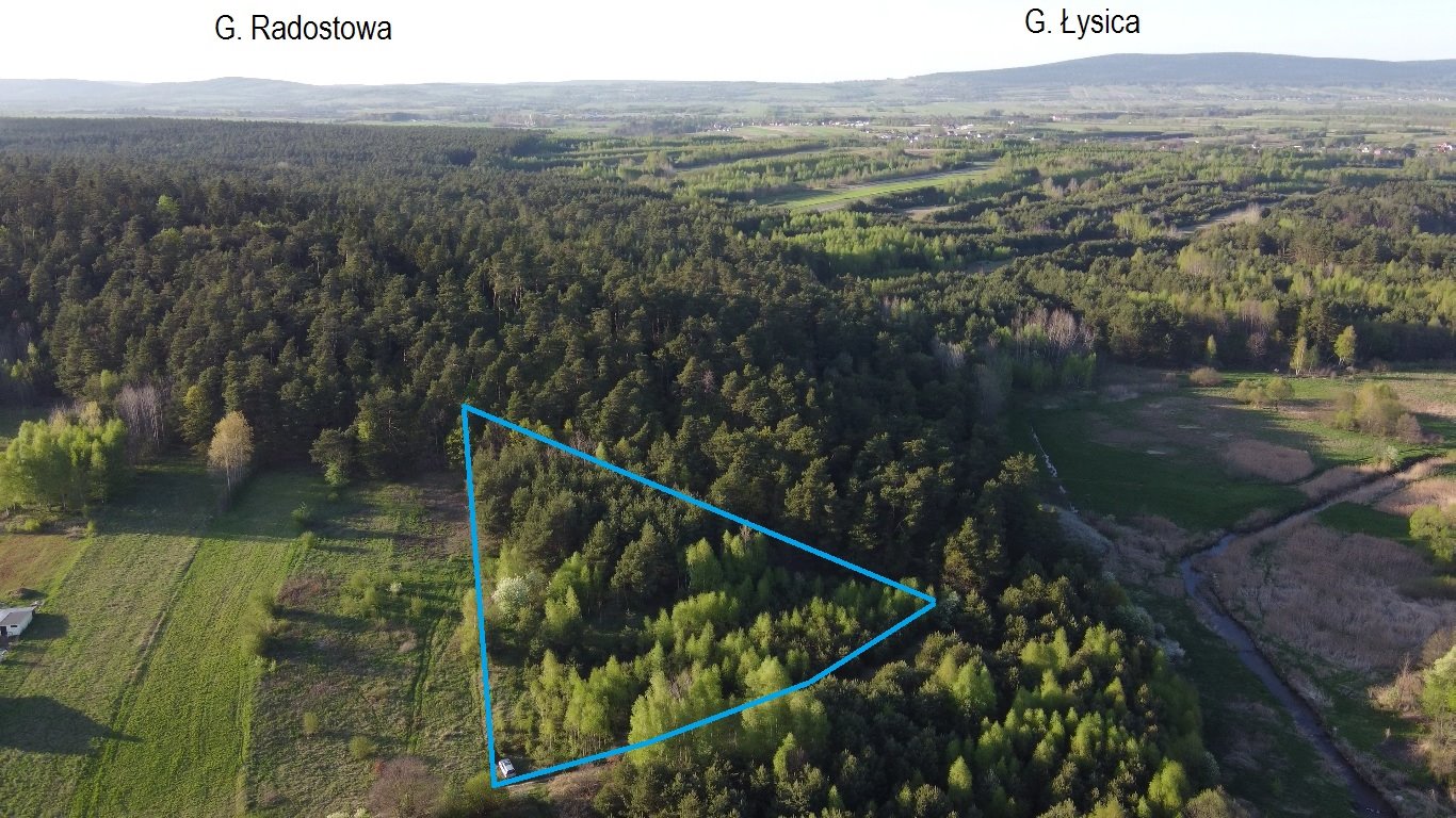 Działka budowlana na sprzedaż Daleszyce  1 109m2 Foto 7