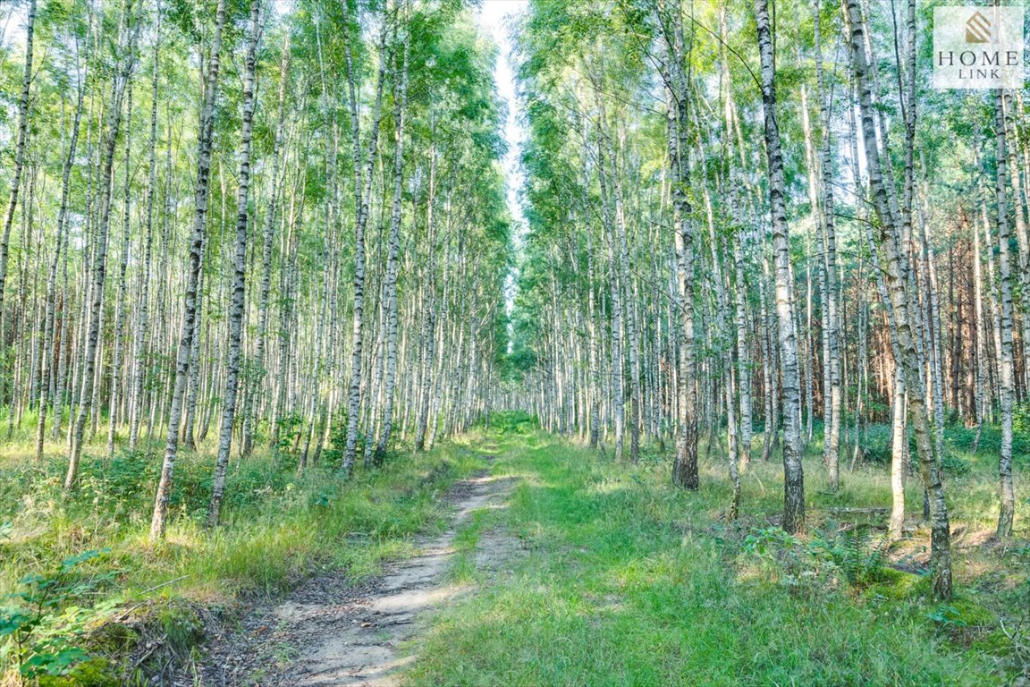 Działka budowlana na sprzedaż Liwa, Długa  983m2 Foto 8