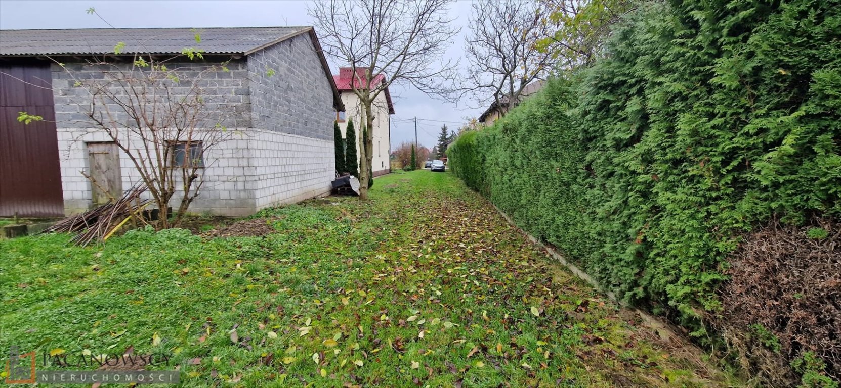 Działka budowlana na sprzedaż Biały Kościół  6 900m2 Foto 3