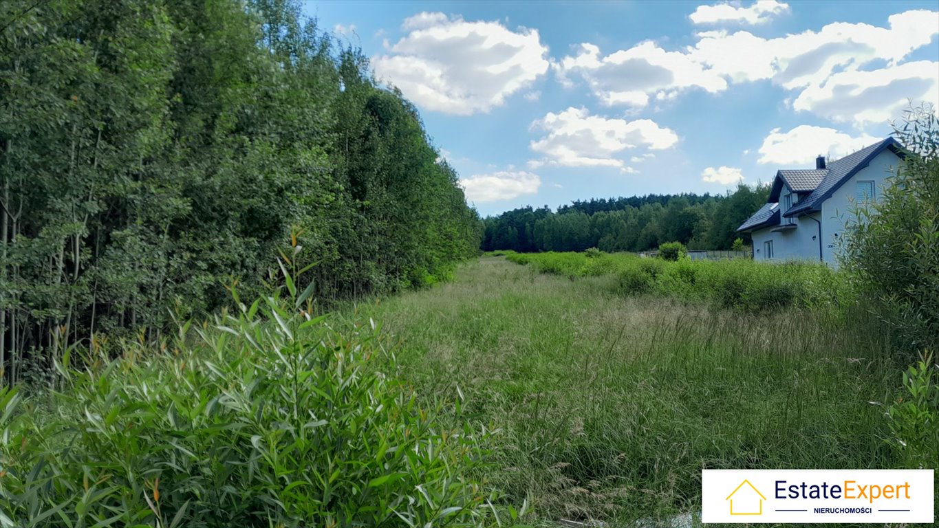 Działka budowlana na sprzedaż Masłów Drugi, Masłów Drugi  800m2 Foto 6