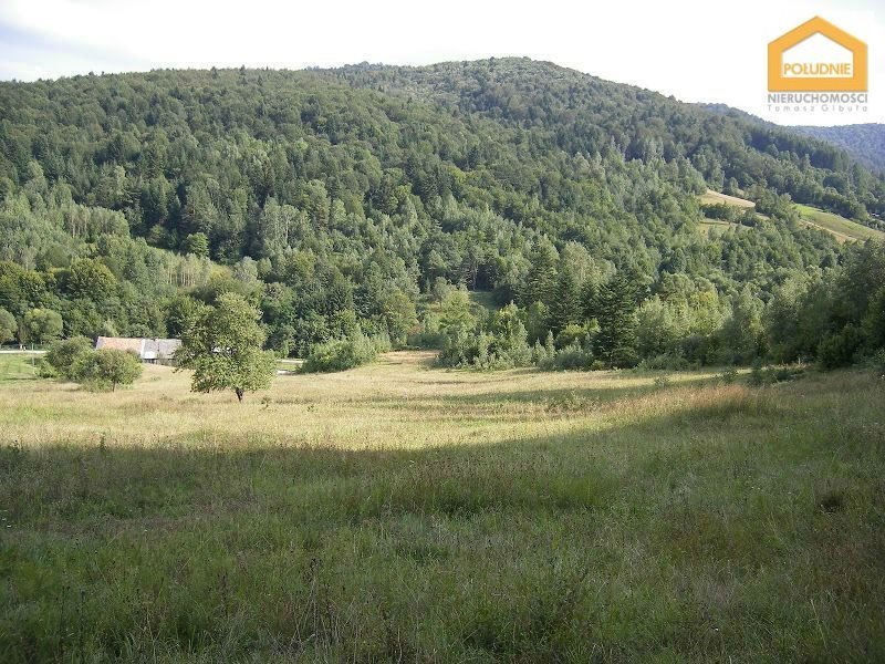 Działka budowlana na sprzedaż Huta Krempska, - 15 900m2 Foto 1 Działka budowlana na sprzedaż Huta Krempska, - 15 900m2 Foto 1