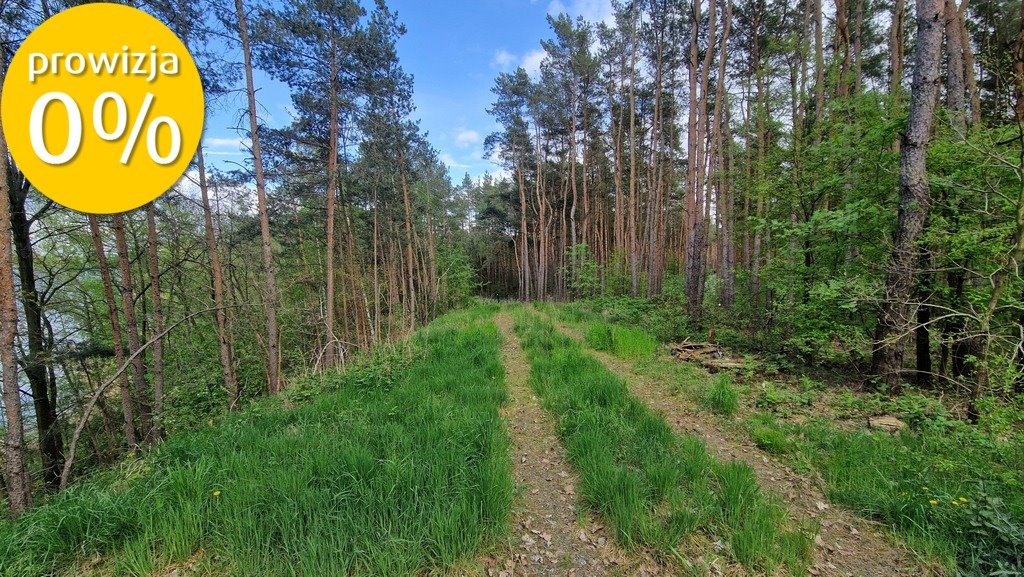 Działka rekreacyjna na sprzedaż Adamowo  4 600m2 Foto 15