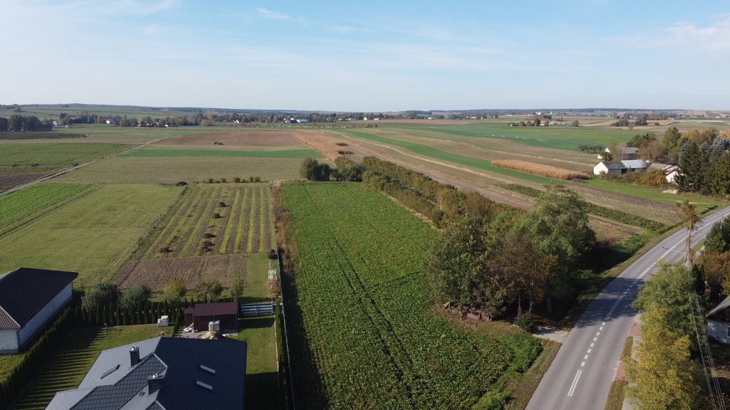 Działka 42a z mediami, zabudowa jednorodzinna i usługi Krasnystaw, Kościuszki  4 281m2 Foto 1