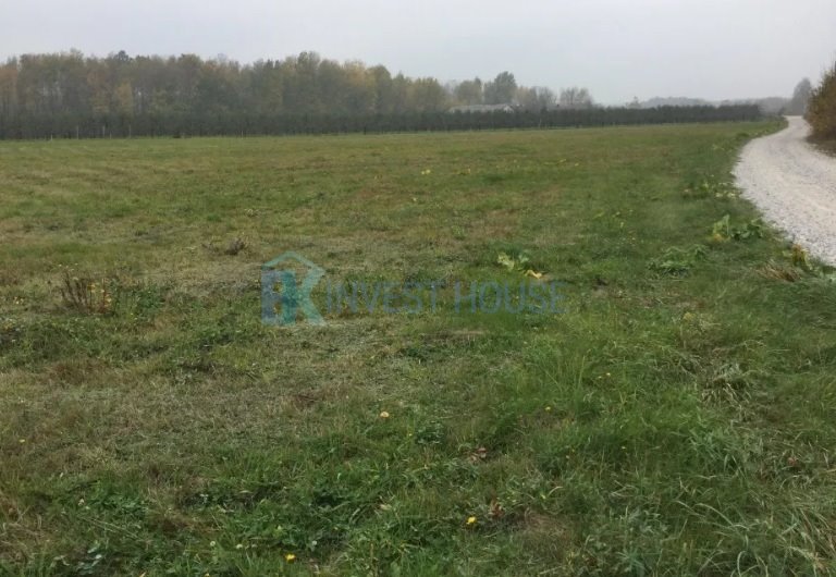 Działka rolna na sprzedaż Michrów-Stefów  9 300m2 Foto 3