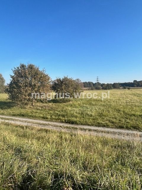 Działka rolna na sprzedaż Wrocław, Psie Pole, Kowale, boczna Lechitów  4 032m2 Foto 4