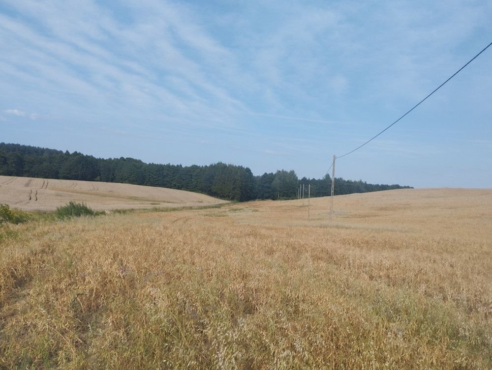 Działka budowlana na sprzedaż Nowosady  2 102m2 Foto 4