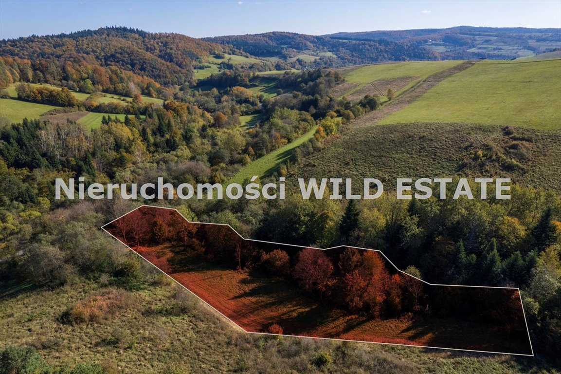 Działka 45 ar z warunkami zabudowy w Mchawie - polecam! Baligród, Mchawa  4 572m2 Foto 1