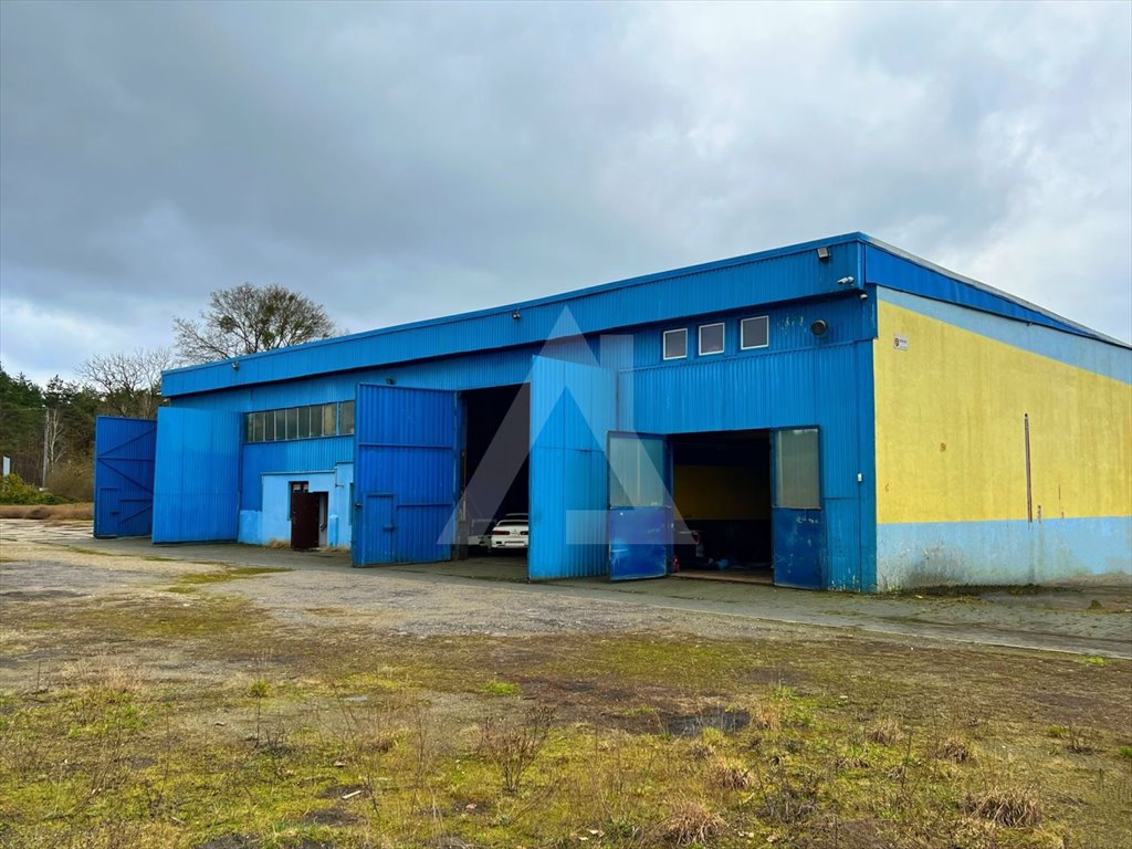 Magazyn na wynajem Brzoza  650m2 Foto 2
