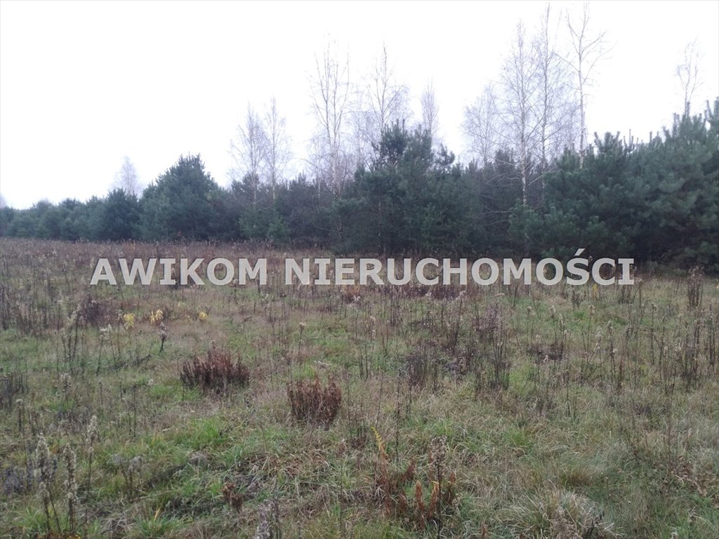 Działka rolna z prawem zabudowy, 4000 m², media, dojazd asfalt Kromnów  4 000m2 Foto 1