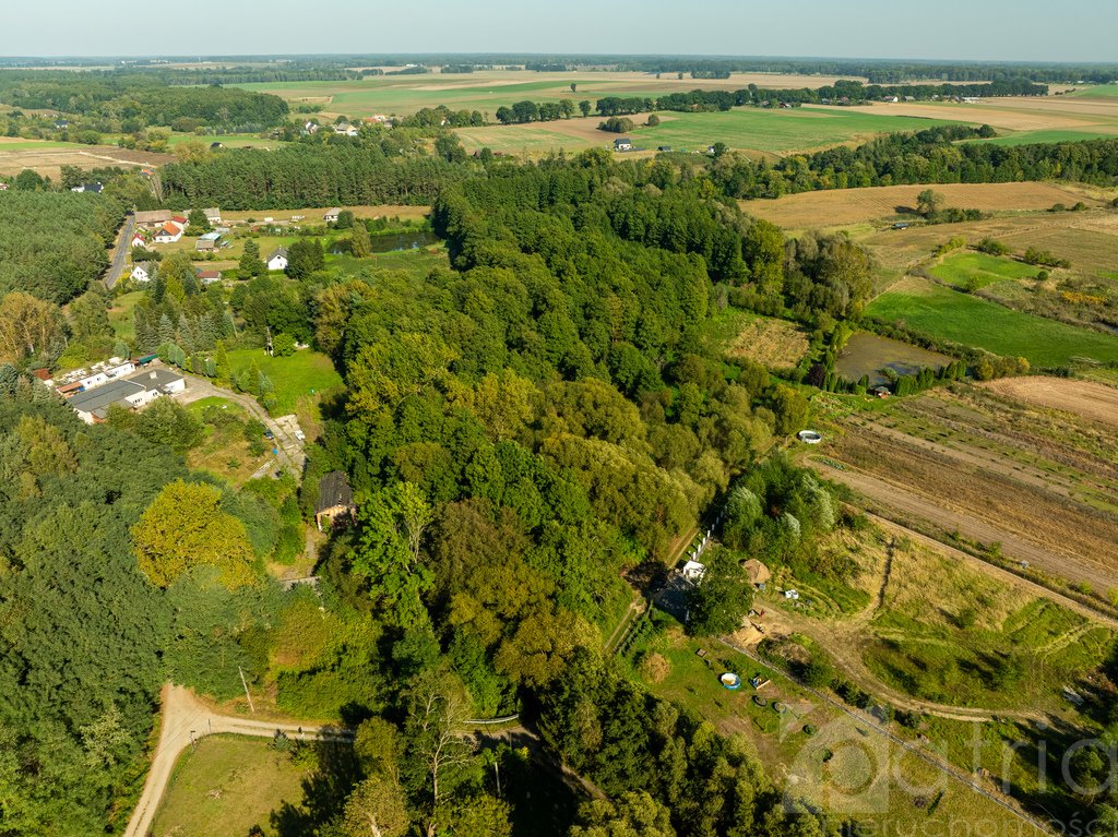 Działka budowlana na sprzedaż Stawno  29 200m2 Foto 5