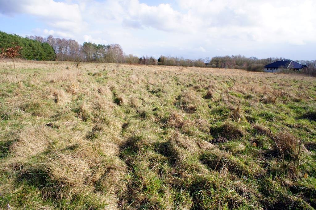 Działka budowlana na sprzedaż Żółwia Błoć  1 072m2 Foto 5