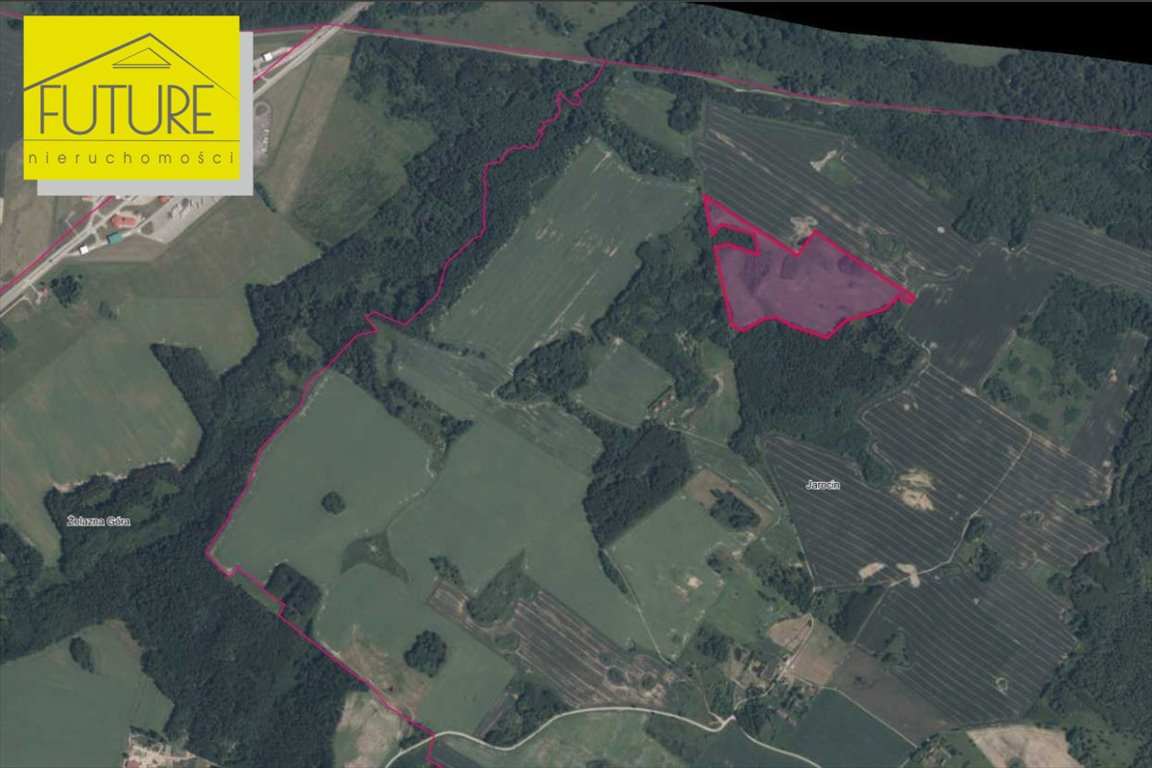 Działka rolna 10,7 ha z dostępem do drogi w Braniewie Żelazna Góra  107 340m2 Foto 1