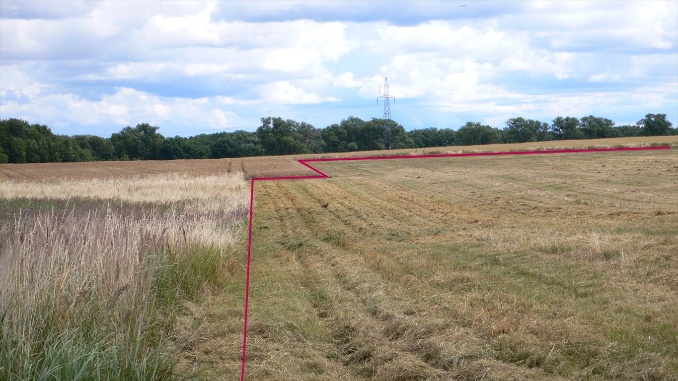 Działka rolna na sprzedaż Chwarstno  65 700m2 Foto 1