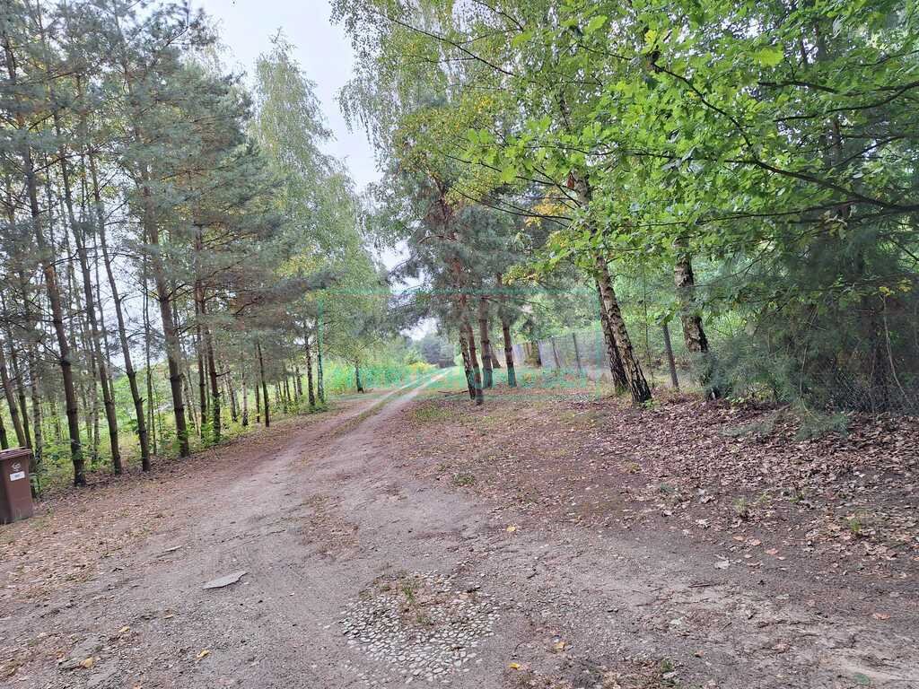 Działka rolna na sprzedaż Strobów  5 474m2 Foto 2