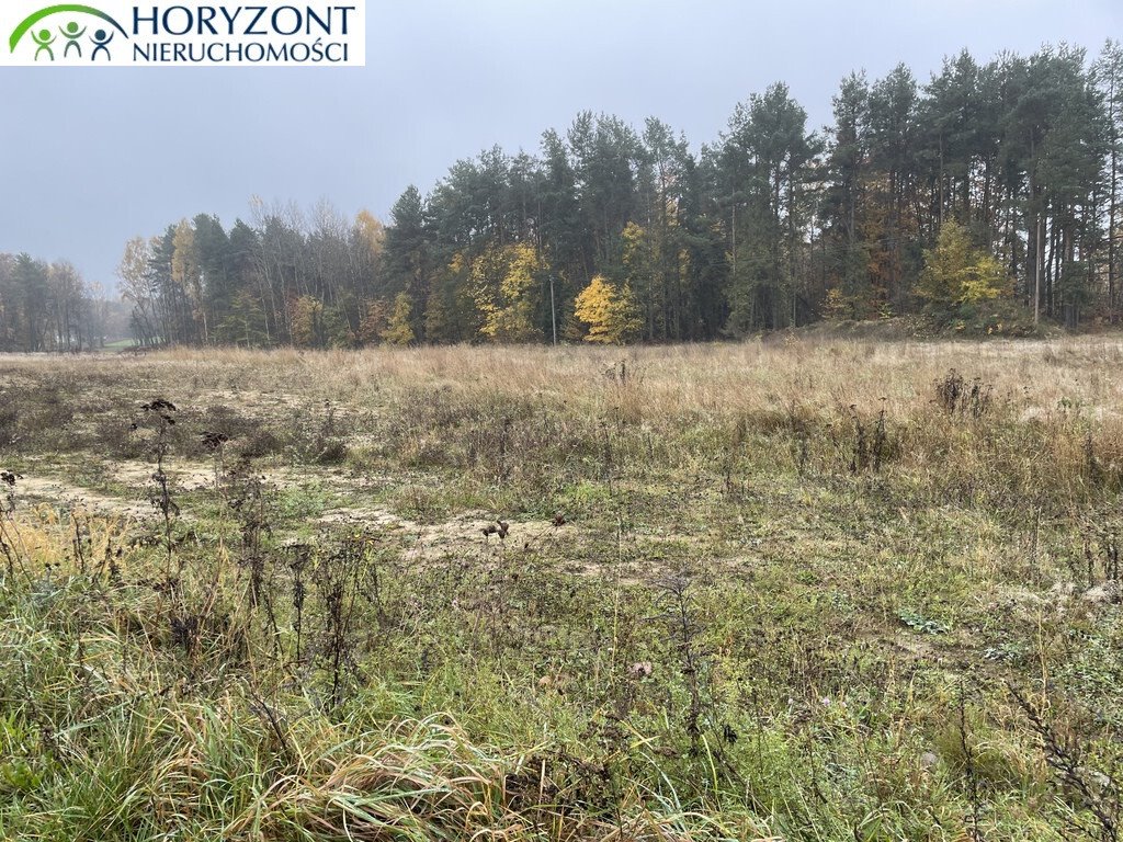 Na sprzedaż działka 1500 m² z warunkami zabudowy w Kamieniu Kamień  1 500m2 Foto 1