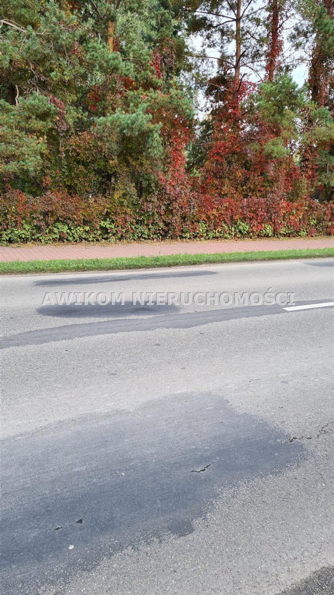 Sprzedam działkę 7350 m² z mediami i planem w Grodzisku Grodzisk Mazowiecki  7 350m2 Foto 1