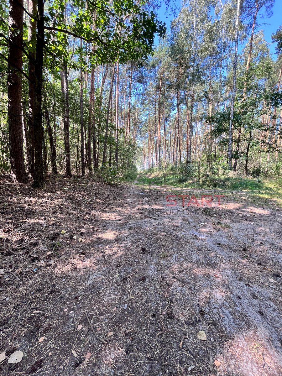 Działka rolna na sprzedaż Słubica Dobra  13 500m2 Foto 3