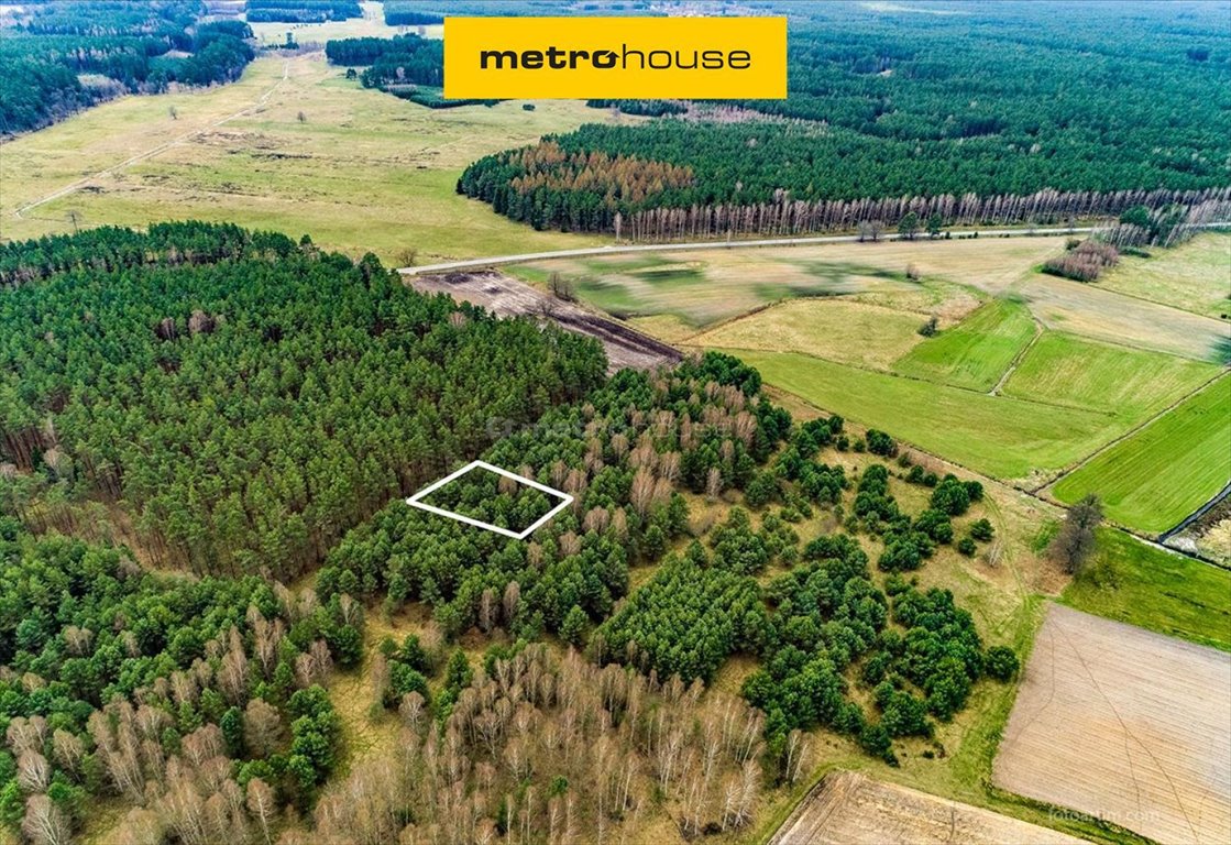 Urokliwa działka 1000 m2 w otoczeniu lasów i jeziora Gim. Zgniłocha  1 000m2 Foto 1