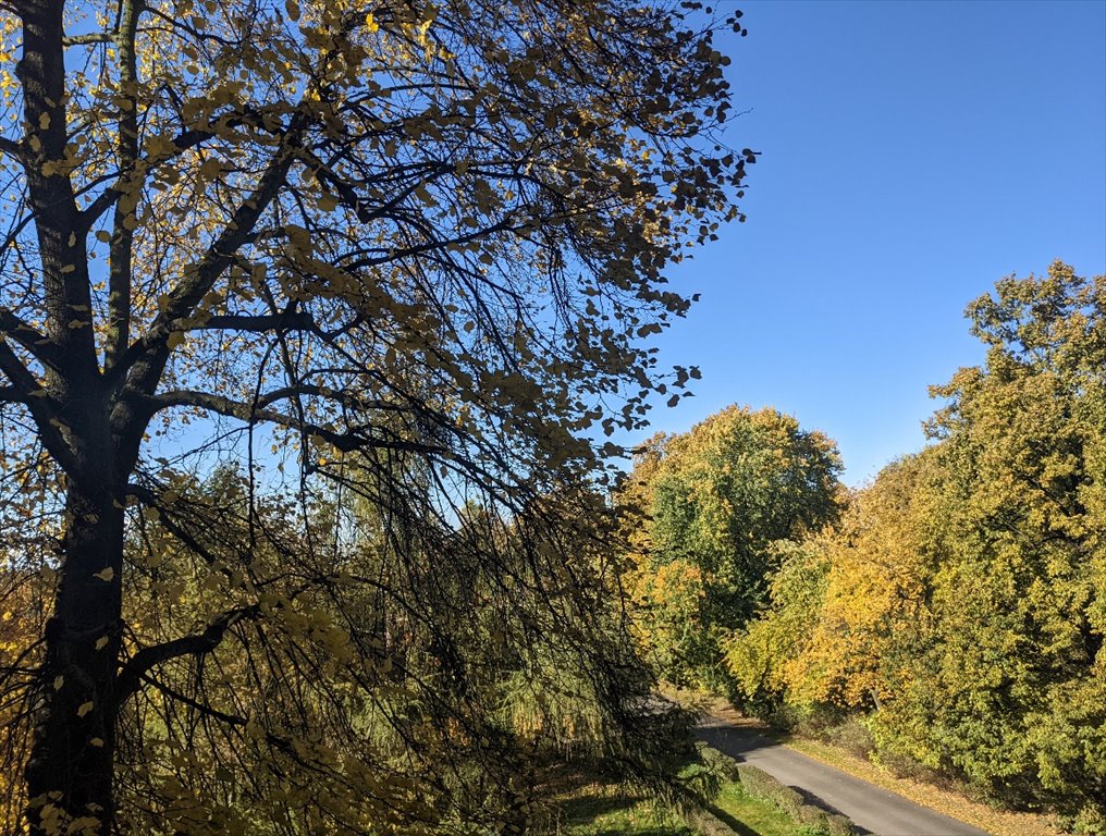 Lokal użytkowy na wynajem Gliwice, Wybrzeże Wojska Polskiego  87m2 Foto 10