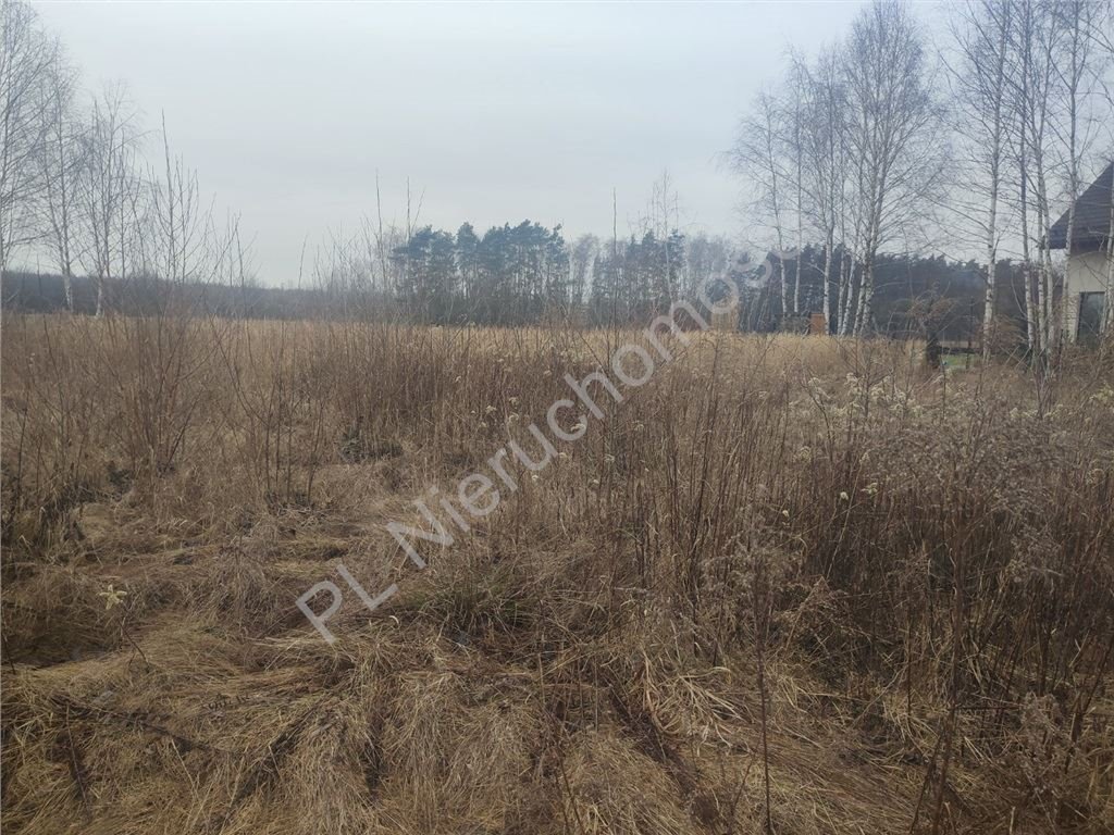 Działka budowlana na sprzedaż Żółwin  1 000m2 Foto 3