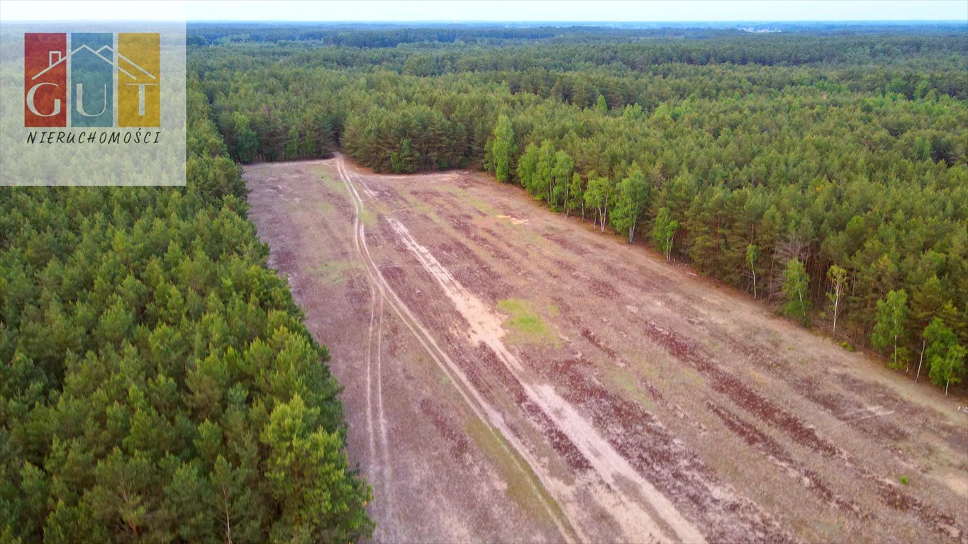 Działka rolna na sprzedaż Chorzele  52 470m2 Foto 7