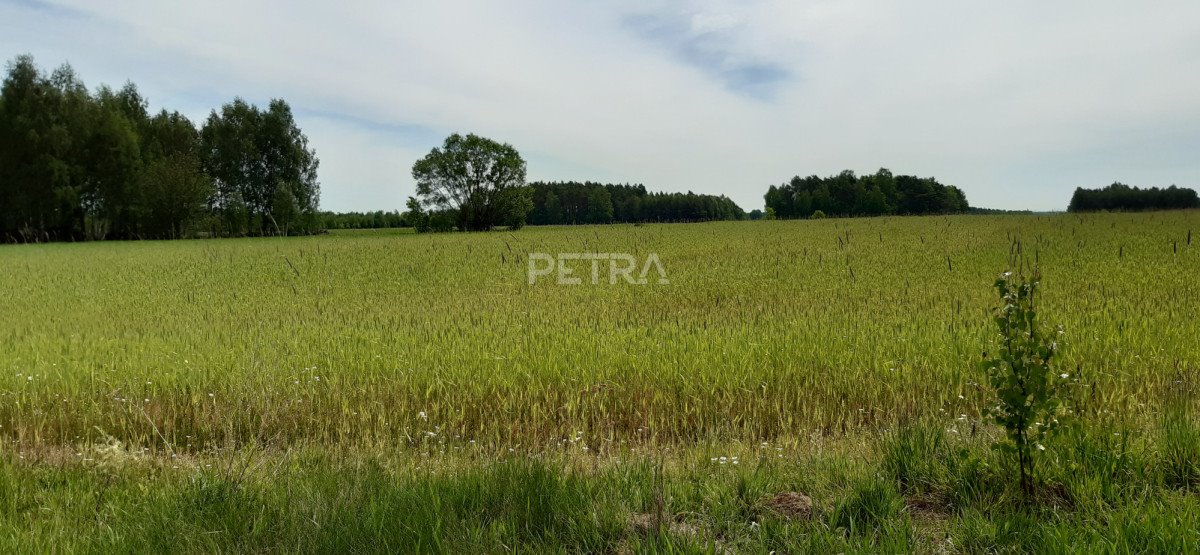 Działka gospodarstwo rolne na sprzedaż Borkowo, Pomocnia, Polna  3 020m2 Foto 2