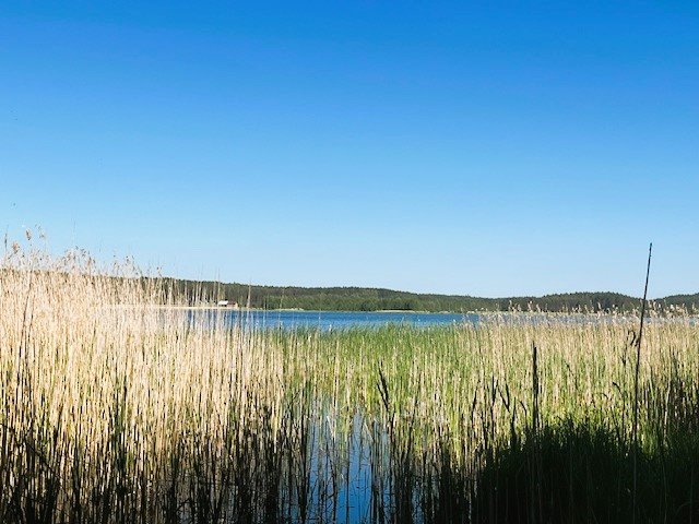 Działka rolna na sprzedaż Swornegacie  4 293m2 Foto 7